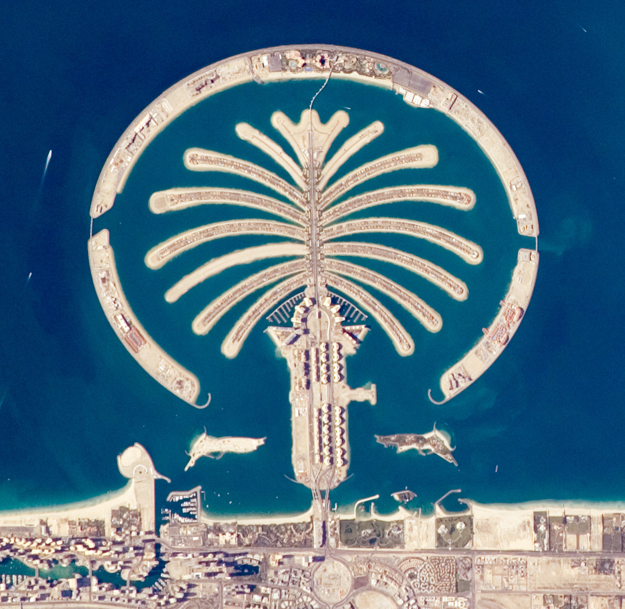 Ảnh Palm Jumeirah