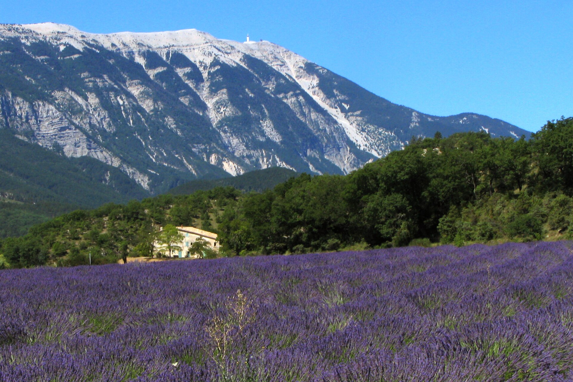 Ảnh Provence