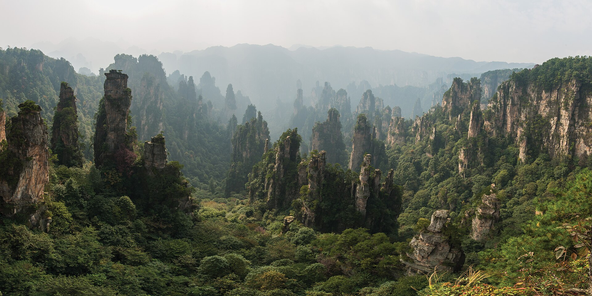Ảnh Trương Gia Giới